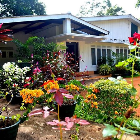 Molino Tourist Rest Anuradhapura Hotel Bagian luar foto