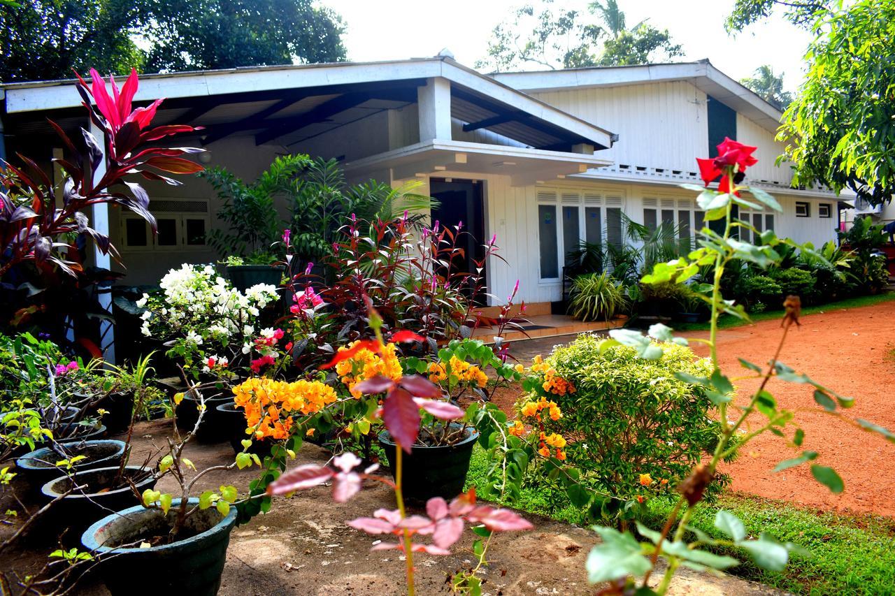 Molino Tourist Rest Anuradhapura Hotel Bagian luar foto